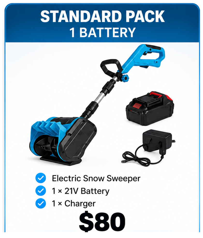 Standard kit: snow sweeper, one battery and charger, $80